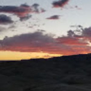 Meet your Posher, Lizzie